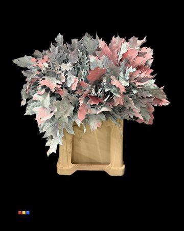 <h4>Eikeblad Bubblegum 60cm</h4>