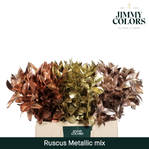 Ruscus L60 Mtlc. Mix