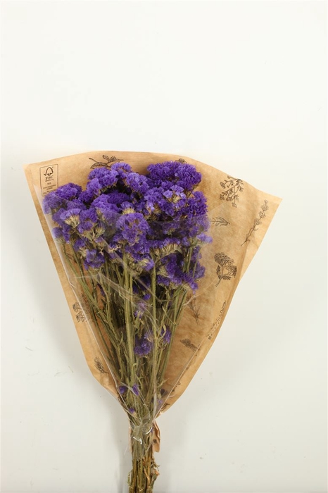 <h4>Dried Limonium Statice Blue Bunch</h4>