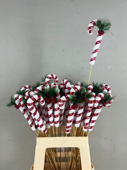 <h4>Stick Candy Cane Red/White</h4>