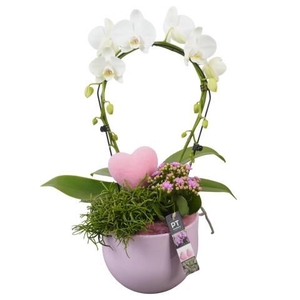 PTVMB2217 Arrangement Valentines-Mothersday in keramiek sierpot