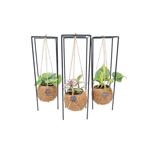Kokodama 12 cm Hanging Industrial Green mix
