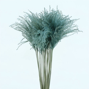 Dried Stipa Feather Light Blue