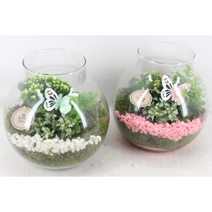 arr2 PL - Bolglas nek XL - roze/wit