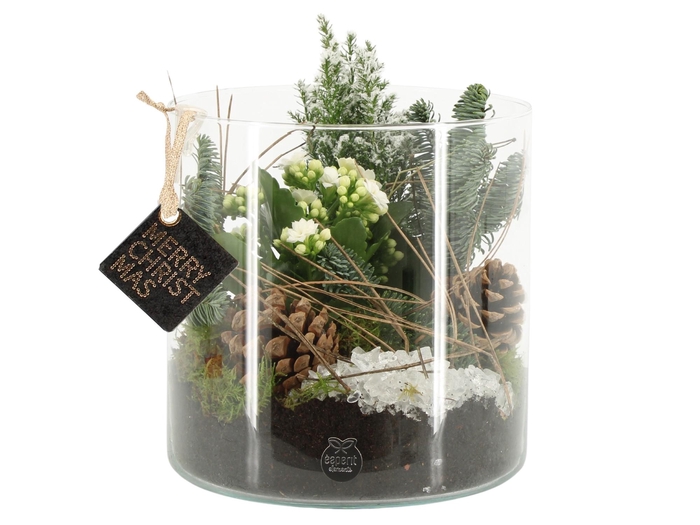 <h4>61713: X-mas arrangement</h4>