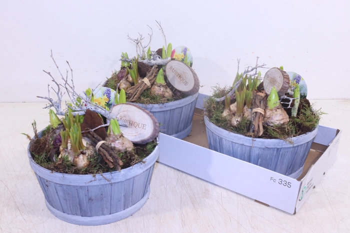 <h4>ARR BOL KNOLGEWAS</h4>