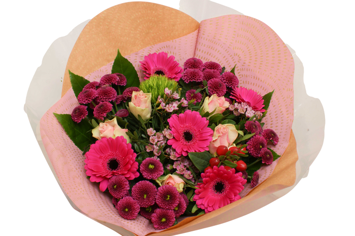 <h4>Rococo big Lila</h4>