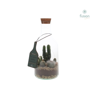 Green Bottle Fles Small met Cactussen
