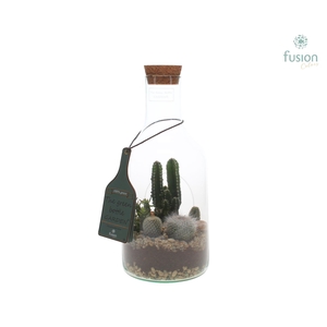 Green Bottle Fles Small met Cactussen