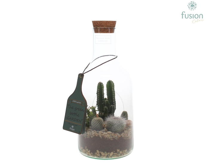 <h4>Green Bottle Fles Small met Cactussen</h4>