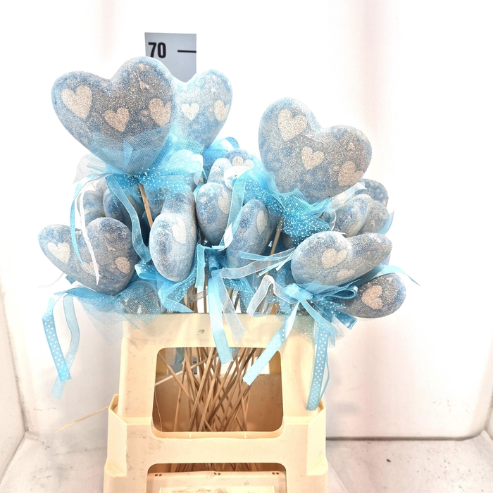 <h4>HUIS EN TUINDECO H%</h4>