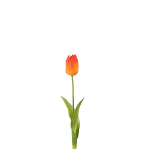 Tulipa 44cm