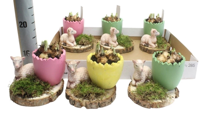 <h4>ARR N TETE A TETE</h4>