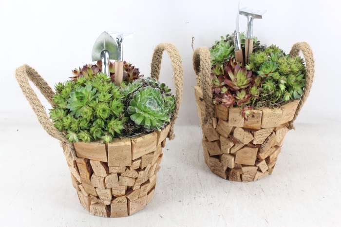 <h4>arr4 Semp JS - Hout pot nature oor</h4>