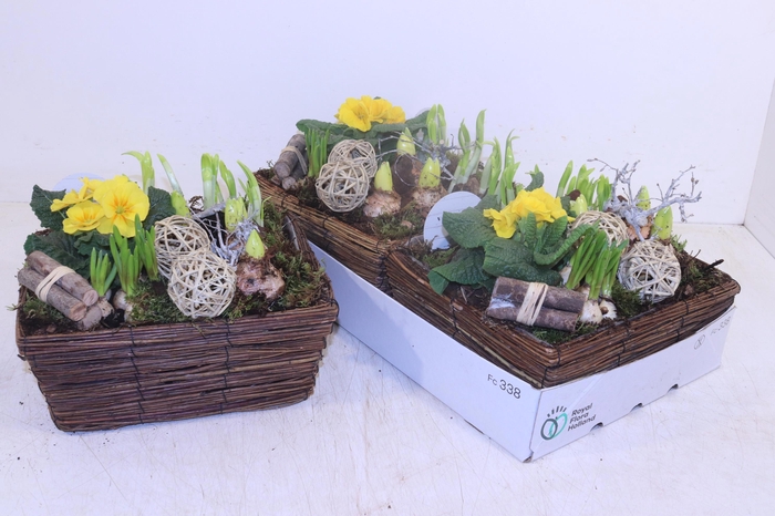 <h4>ARR PL IN SCHAAL</h4>