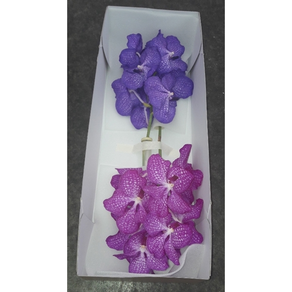 <h4>Vanda Duo doos</h4>