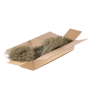 Broom Bloom Bunch Sb Grey Misty
