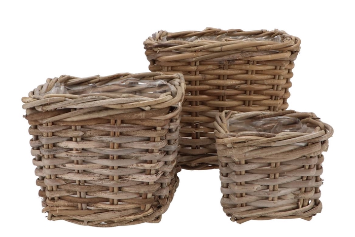 <h4>Rattan Ivy Basket Square S/3 W15/20/25 H13/18/22</h4>