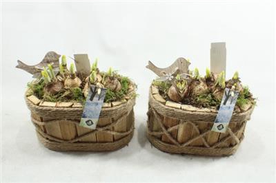 <h4>21253 HOUT OVAAL TETE</h4>