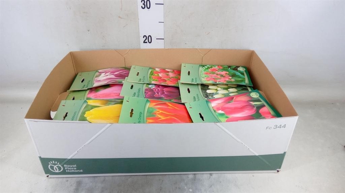 <h4>Flowerbulbs, corns or tubers ...</h4>