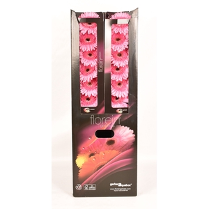 Gerbera Peppa Aquabox