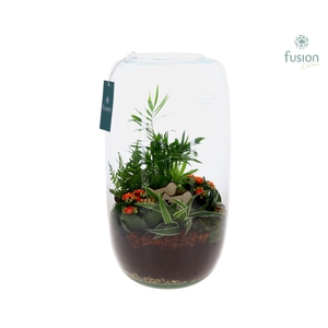 Green Bottle Isabella XXLarge Pasen met Arrangement