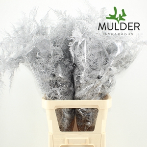 Asp Klb H% L. Getopt Silver