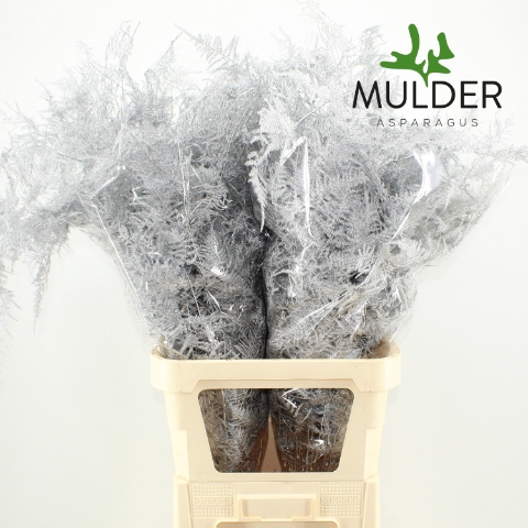 Asp Klb H% L. Getopt Silver