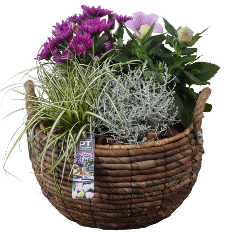 <h4>PTSO7203 Arrangementen Tuinplanten</h4>