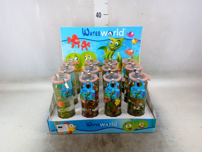 <h4>Arr.   Waterplanten H%</h4>