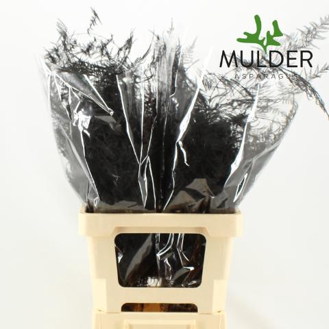 <h4>Asp Klb H% Extra Veren Black</h4>