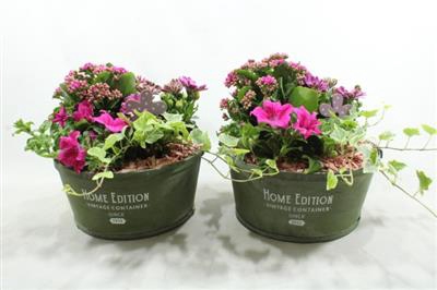 <h4>2588 GREEN HOME EDTION BT</h4>