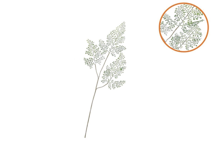 <h4>Silk Fern Maiden Hair Green Snowy 86cm</h4>