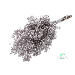 PEPPERBERRIES CHAMPAGNE