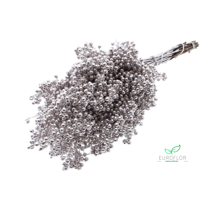 <h4>PEPPERBERRIES CHAMPAGNE</h4>