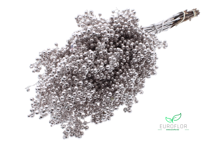 PEPPERBERRIES CHAMPAGNE