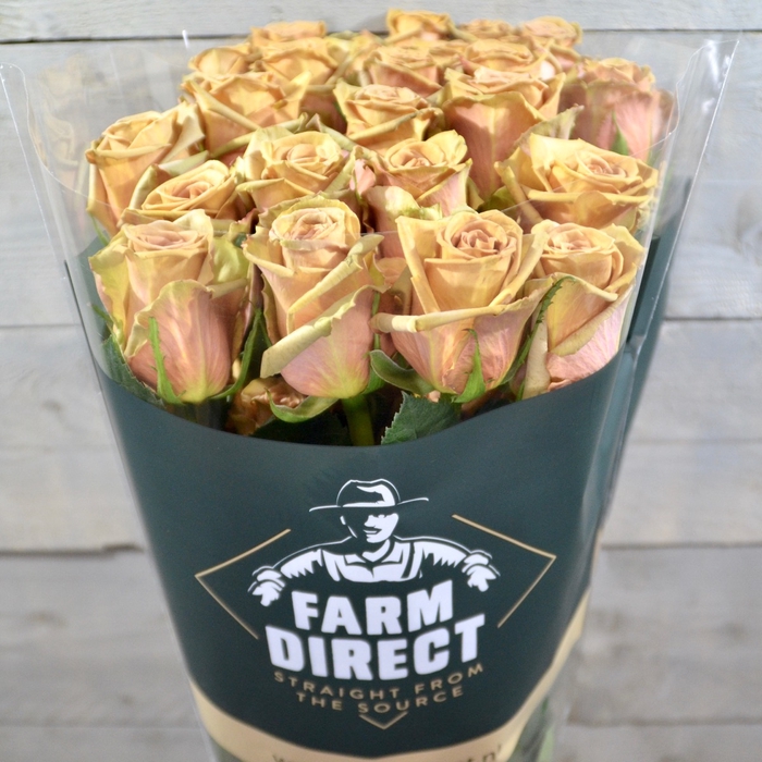 <h4>R GR TOFFEE (BOX)</h4>