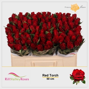 R GR RED TORCH