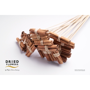 Dried Deco Cinnamon Bundle Bamboo Sticks