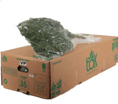 <h4>LEDERVAREN EXTRA VACUUM MAYIKAL</h4>