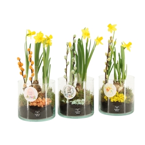 70866: Easter arrangement