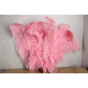 Feather Ostrich 65cm L.pink