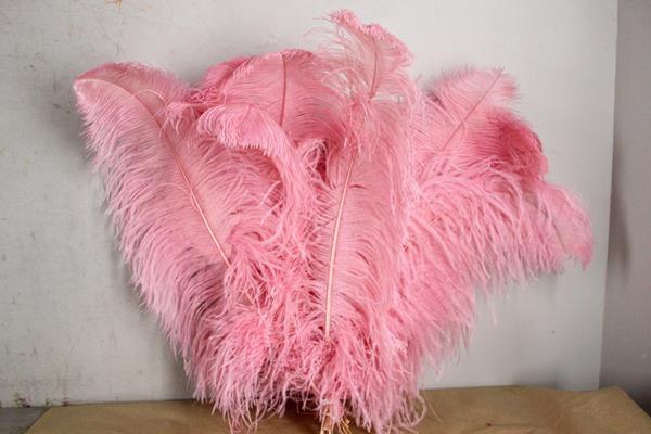 Feather Ostrich 65cm L.pink