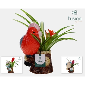 Keramiek vogel op boomstam met Bromelia