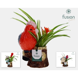 Keramiek vogel op boomstam met Bromelia