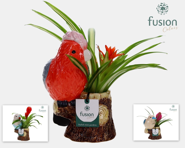 <h4>Keramiek vogel op boomstam met Bromelia</h4>