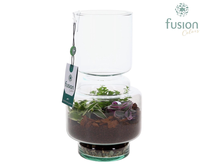 <h4>Green Bottle Lotte Medium met Terrarium arrangemet</h4>