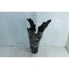 ZAMIOCULCAS BLACK DOWON P15