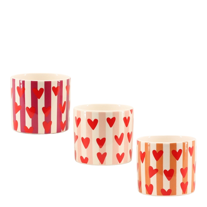 <h4>BLOEMPOT H%</h4>