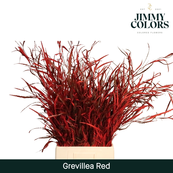 <h4>Grevillea (bunch) Red</h4>